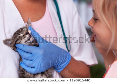 Stockfoto: Veterinary Doctor Checking The Teeth Of A Small Kitten - Little
