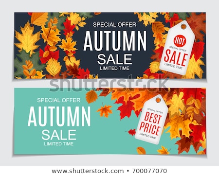 Foto stock: Autumn Illustration With Colorful Falling Leaves And Lettering On White Background Autumnal Vector