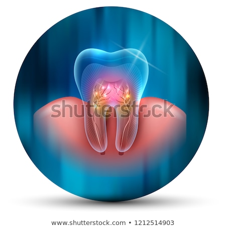 Сток-фото: Tooth Cross Section Scientific Modern Design Icon