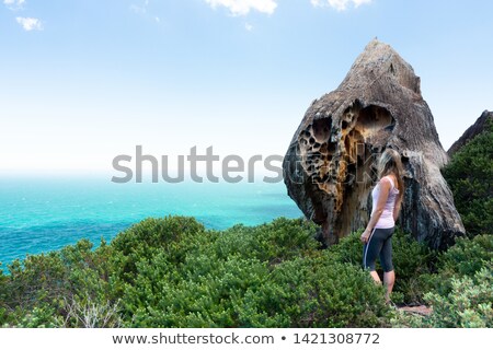 Zdjęcia stock: Visitor In Royal National Park Taking In The Sights