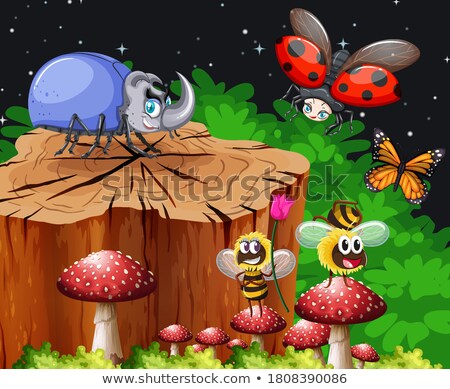 [[stock_photo]]: Different Insects Living In The Garden Scene At Night