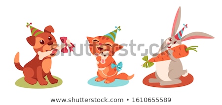 Foto stock: Mouse And Rabbit