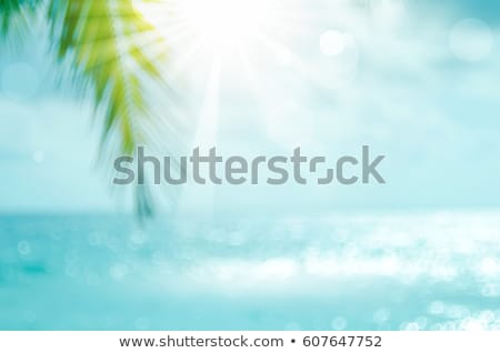 Stock fotó: Abstract Summer Background In Vintage Style With Tropical Palm Tree