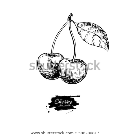 Zdjęcia stock: Cherry In Vintage Style