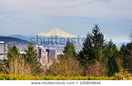 [[stock_photo]]: Portland Downtown View From Washington Park