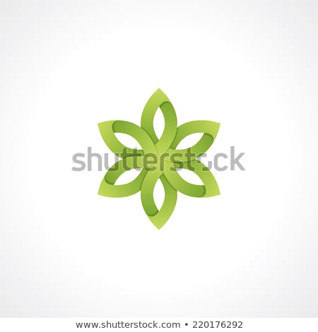 Stok fotoğraf: Flower Petals Origami With Leaves Chinese Icon