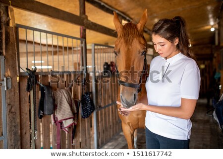 Zdjęcia stock: Pretty Young Brunette Female In White Polo Shirt Feeding Racehorse From Hand