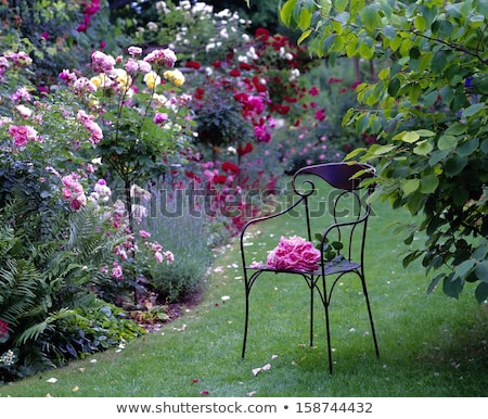 Stock photo: Idyllic Rose Garden