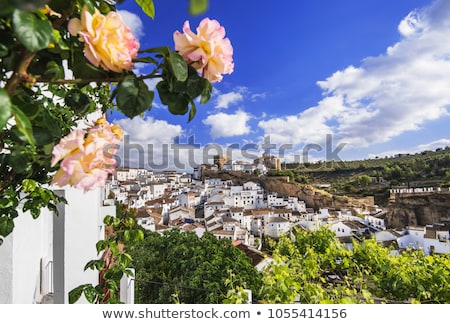 ストックフォト: White City Of Andalusia Spain