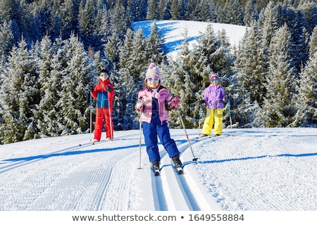 Stock photo: Determined Nordic Girl