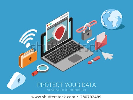 Stockfoto: Usb Flash Drive With Shield Data Protection