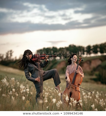 Doi violonceliști joacă pe iarbă împotriva cerului Imagine de stoc © Stasia04