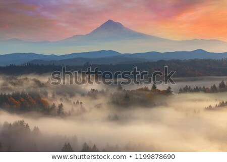 Foto stock: Colorful Foggy Sunrise Over Sandy River Valley