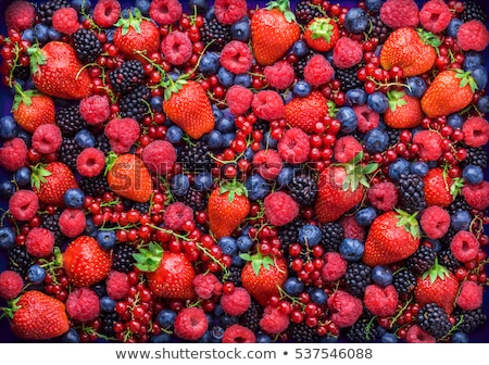 ストックフォト: Harvesting Of Fruits And Berries