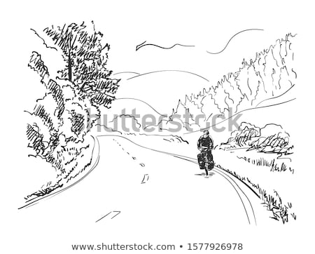 Foto stock: Biker On The Road Vector Illustration