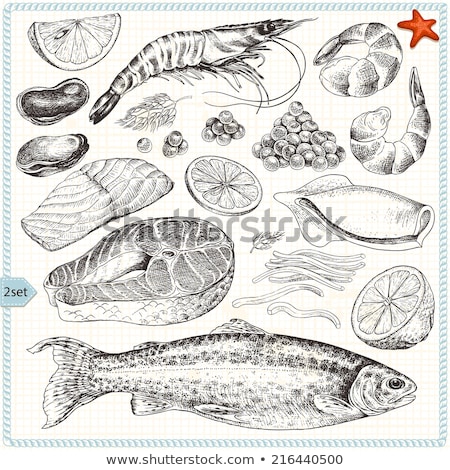 Stock photo: Sea Fish Set Hand Drawn Vector Illustration