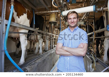 Stok fotoğraf: Portrait Of Farmer With Dairy Cattle In Milking Shed