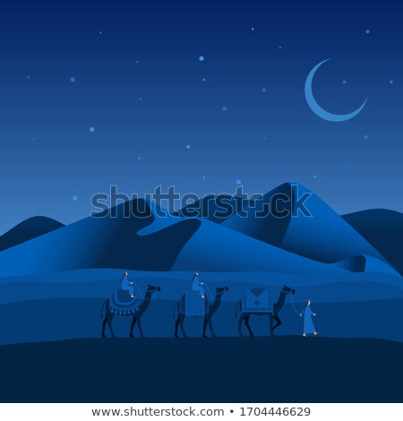 ストックフォト: Camels Walking Across Desert At Night