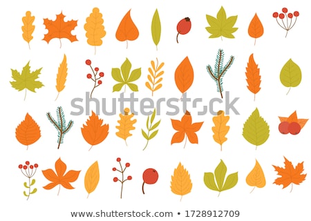 Stock foto: Abstract Dry Autumn Oak Tree Vector Art Illustration Design