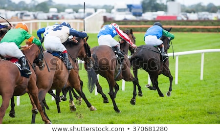 Zdjęcia stock: Horse Racing Sport People Riding Animals Speed