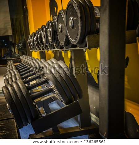 Foto d'archivio: Dumbbell Rack With Silver And Black Weights