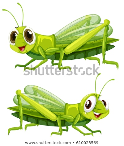 Stockfoto: Grasshopper With Happy Face