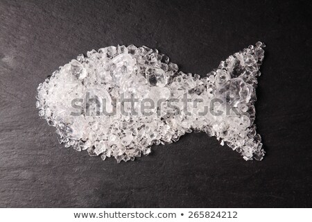 [[stock_photo]]: Fish Shaped Form On Ice