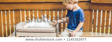ストックフォト: Toddler Boy Caresses And Playing With Rabbit In The Petting Zoo Concept Of Sustainability Love Of