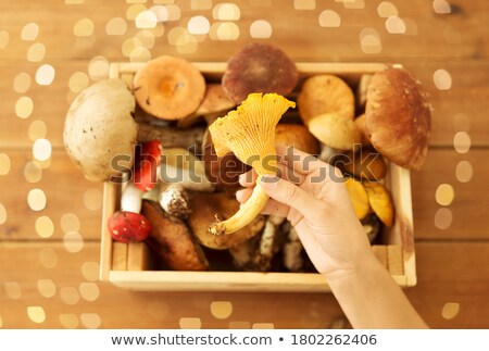 ストックフォト: Wooden Box Of Different Edible Mushrooms