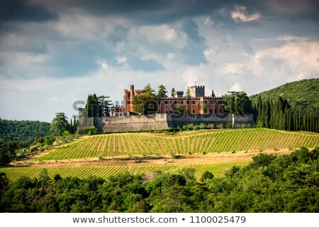 Stock photo: Castle Of Brolio