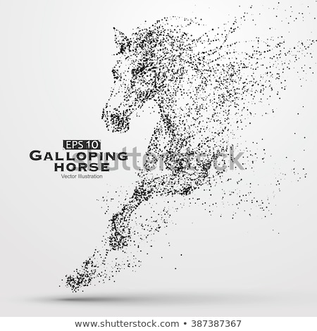 Stock fotó: Galloping Horse