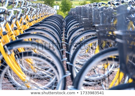 Сток-фото: Station Of Urban Bicycles For Rent