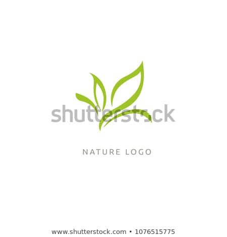 Stockfoto: Eco Tree Leaf Logo Template