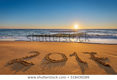 Foto d'archivio: Text Happy 2017 In The Sand Of A Beach