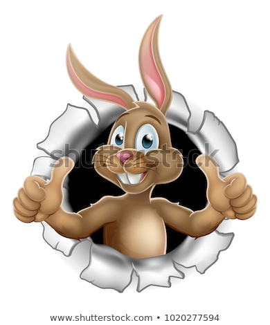 Stok fotoğraf: Thumbs Up Easter Bunny