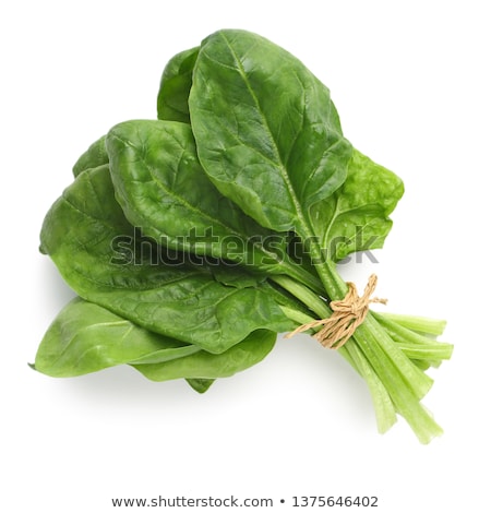 Zdjęcia stock: Spinach
