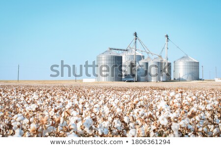 [[stock_photo]]: Storage Silos