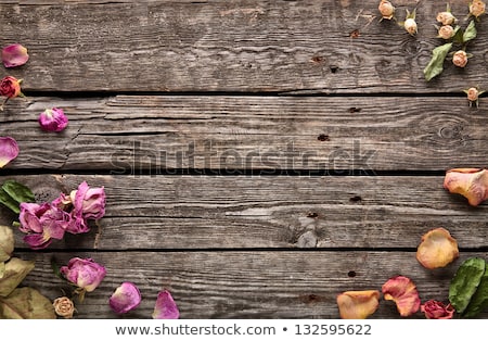 Foto stock: Dry Rose On Old Wood Background With Copy Space