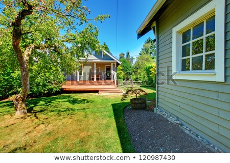 Stock fotó: House And Shed In The Back Yard With Apple Tree