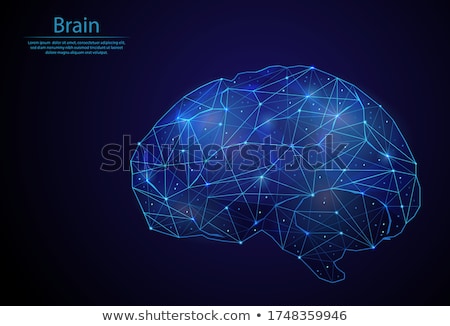 Zdjęcia stock: Human Neurons