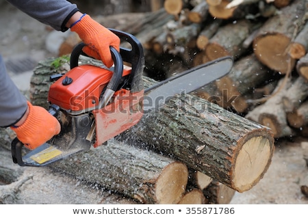 Foto stock: Eñador · cortando · el · tronco · de · madera · con · motosierra · de · gasolina
