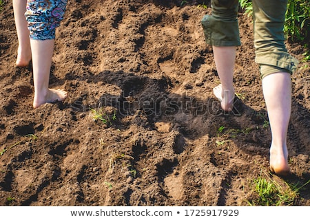 Foto stock: Walking In Mud