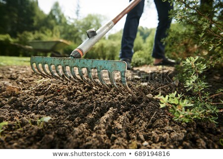 Stock photo: Raking Soil