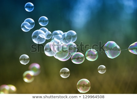 ストックフォト: Transparent Soap Bubbles Blue Background With Defocused Elements