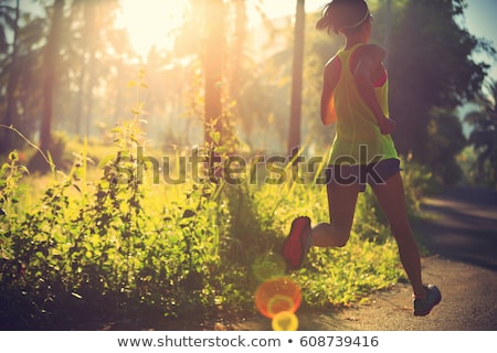 Zdjęcia stock: Young Fitness Woman Running At Forest Trail