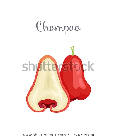 Zdjęcia stock: Champoo Exotic Juicy Fruit Vector Isolated Java Apple