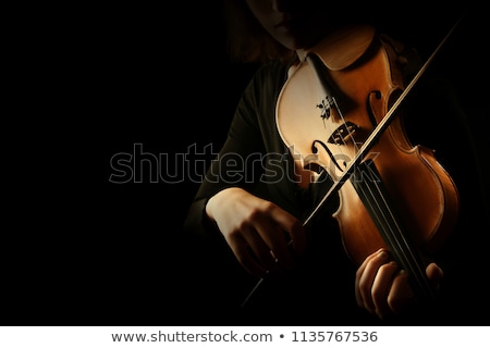 Сток-фото: Violin