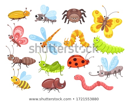 Stock photo: Set Of Different Mosquitoes Isolated On White