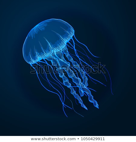 Stockfoto: Jelly Fish