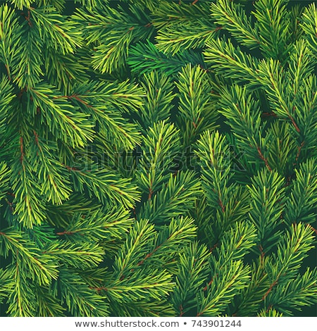 Stok fotoğraf: Seamless Pattern With Evergreen Plants